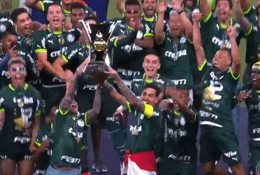 El zaguero central paraguayo tuvo un gran nivel con Palmeiras en el Brasileirao.
