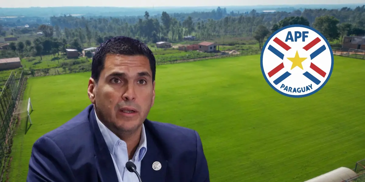 Robert Harrison, presidente de la APF