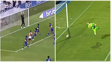 Una acción que recorre el mundo por la manera curiosa en el área xeneixe